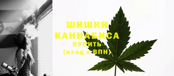 спайс Новодвинск