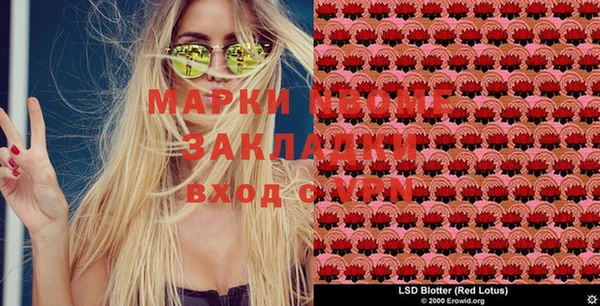 прущие грибы Валуйки