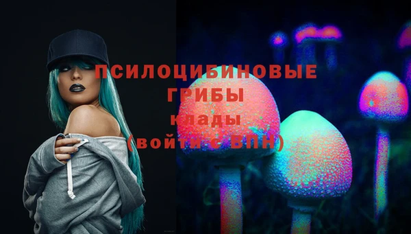 спайс Новодвинск