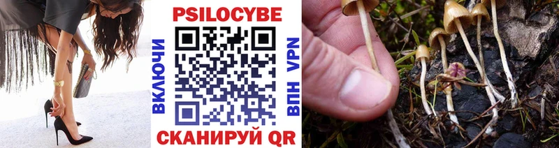 Галлюциногенные грибы Psilocybine cubensis  shop официальный сайт  Томари 