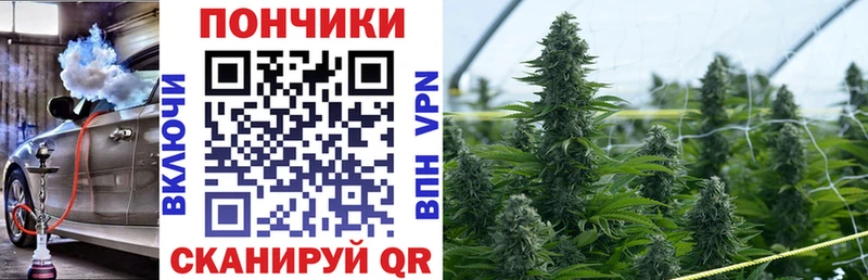 Бошки Шишки THC 21%  Томари 